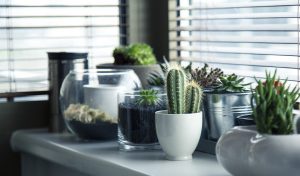 Mortgage Help